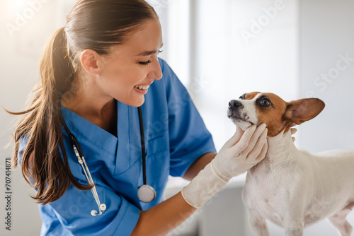 Smiling woman vet performs checkup on attentive dog photo