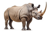 Side profile view of a rhinoceros on isolated background