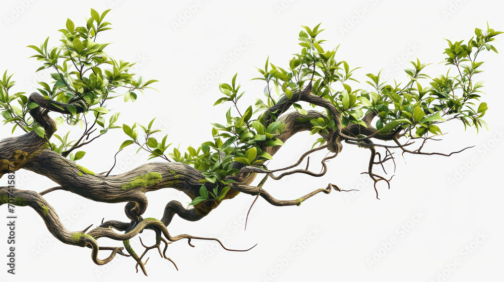 Fototapeta premium Twisted Jungle Branch with Growing Plant Transparent Background, Generative ai