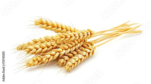 Wheat ears isolated on white background. Package design element