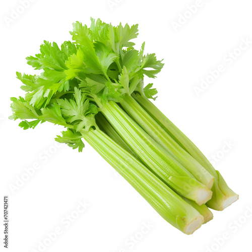 Celery, PNG picture, no background image.
