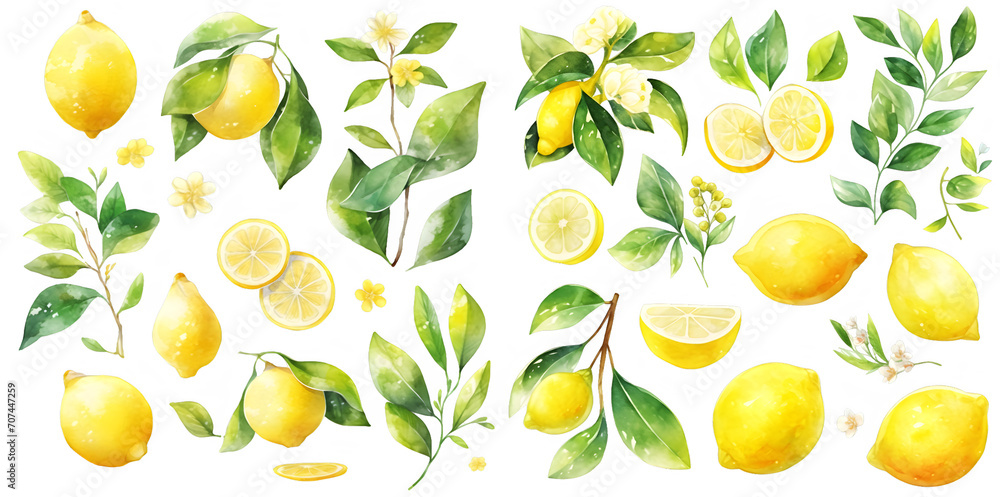 Watercolor lemon clipart for graphic resources 