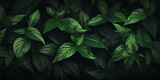 Monstered leaf wallpaper Tropical foliage background. Natural textured Green leaves background. Nature and environment concept. Vintage tone filter effect color style.AI Generative
