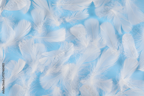 Fluffy white feathers on light blue background, flat lay