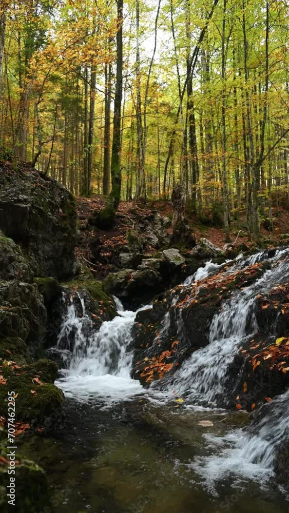 Vertical shot of a waterfall in a forest in autumn, Josefsthaler Wasserfälle Vertical shot of a waterfall in a forest in autumn, Josefsthaler Wasserfälle