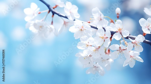 Branches of blossoming cherry macro with soft focus on gentle light blue sky background in sunlight with copy space. Beautiful floral image of spring nature panoramic view.  generative ai