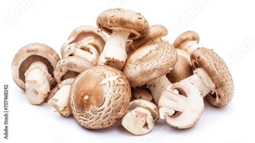 Many white mushrooms on white background