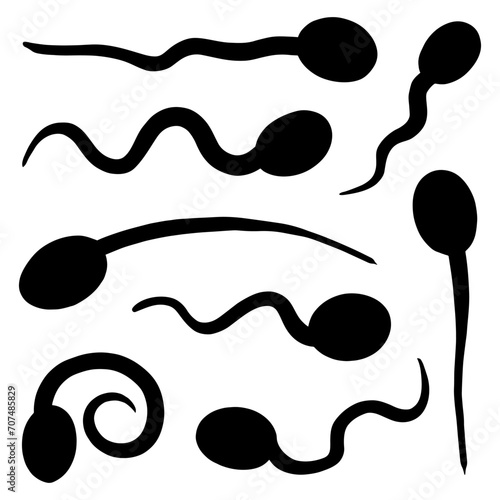 Vector hand drawn sperm icon thin black line doodle tadpole in vector illustration photo