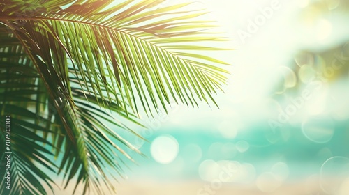 Beautiful nature green palm leaf on tropical beach with bokeh sun light wave abstract background. Copy space of summer vacation and business travel concept © INK ART BACKGROUND