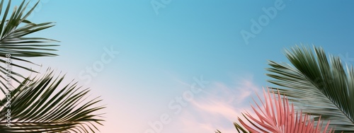 Tall Palm Tree Standing Against Clear Blue Sky