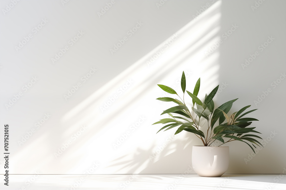 Wall background for product shots. Minimal scene for product display presentation. Stage for showcasing. Minimal empty background. Wall background for product shots. Minimal scene for product display presentation. Stage for showcasing. Minimal empty background.