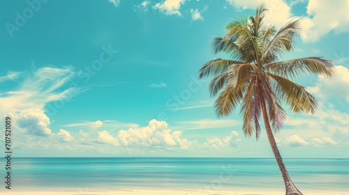 Palm tree on tropical beach with blue sky and white clouds abstract background