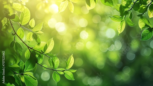 Spring background, green tree leaves on blurred background © CLOVER BACKGROUND