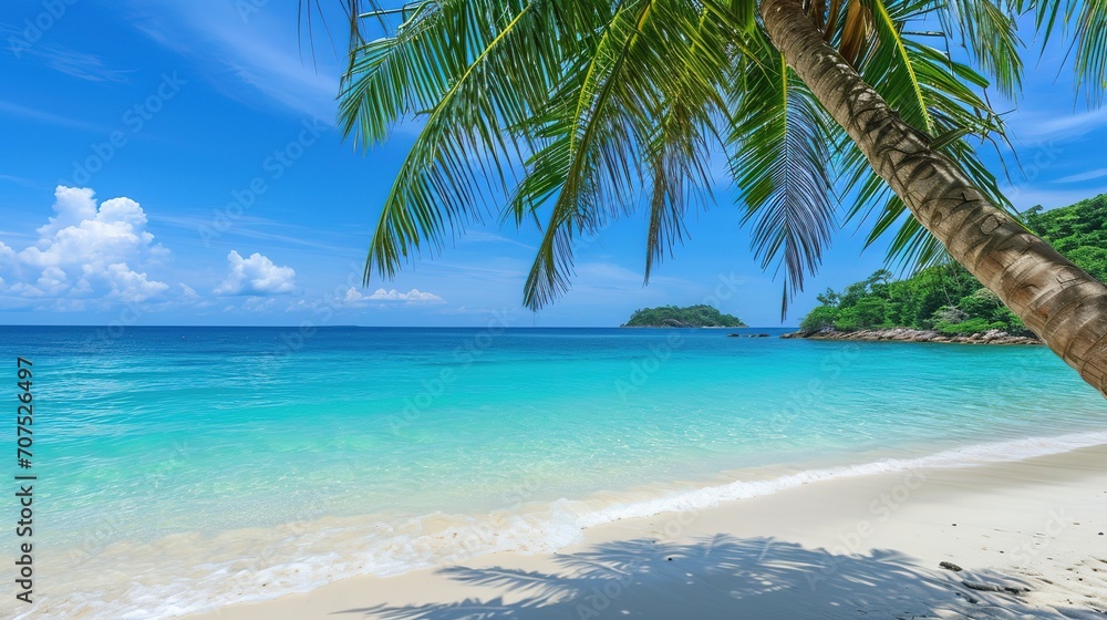Touched tropical beach in similan island,Coconut tree or palm tree on the Beach