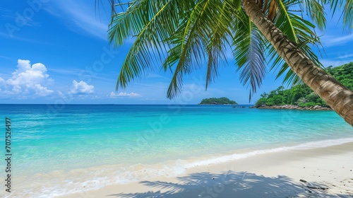 Touched tropical beach in similan island Coconut tree or palm tree on the Beach