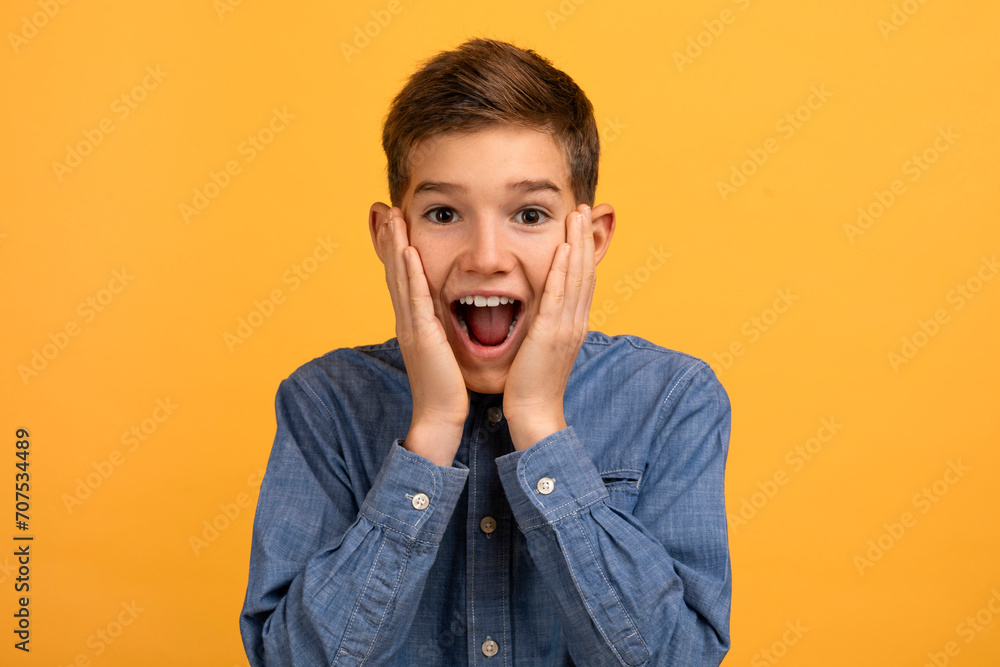 Wow. Surprised Teen Boy Touching Face And Looking At Camera With Excitement Wow. Surprised Teen Boy Touching Face And Looking At Camera With Excitement