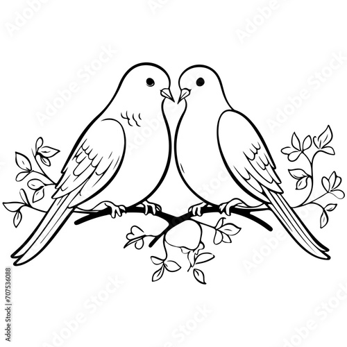Romantic Couple love birds-1