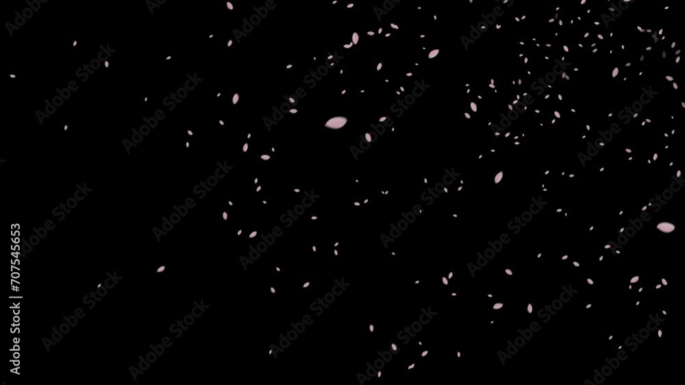 桜の花びらが舞い散る動画。合成用素材。 桜の花びらが舞い散る動画。合成用素材。
