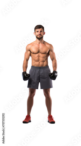 Boxer standing looking at camera, isolated, full body, transparent background. © somchai20162516
