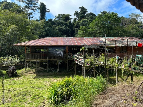 The Mulu canopy walk tour at Gunung Mulu National Park