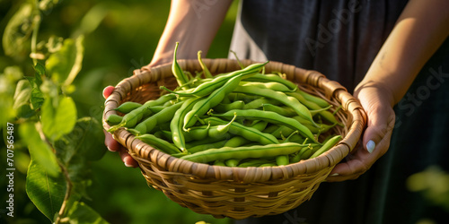 person holding a basket of fresh vegetables, String beans in a basket surrounded by other lettuce, Senior farmer holding in her hans fresh peas. 