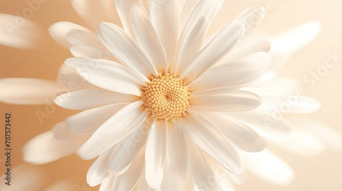 A sprightly daisy with white petals and sunny center, symbolizing purity on white canvas. 3D render