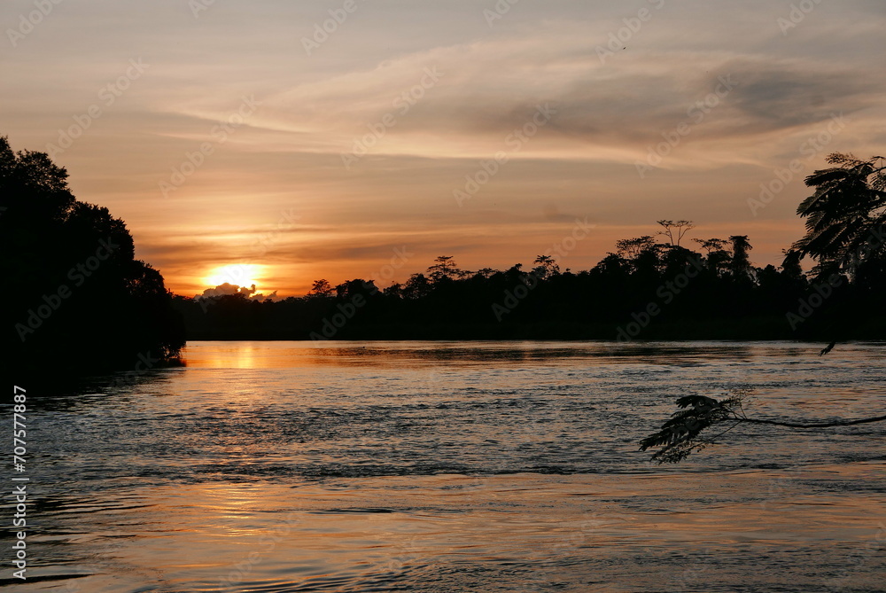The Kinabatangan river is one of the best and most easily accessible places to see wildlife in Asia! Including so much of Sabah's most sought after wildlife: Orang-utans, proboscis monkeys.