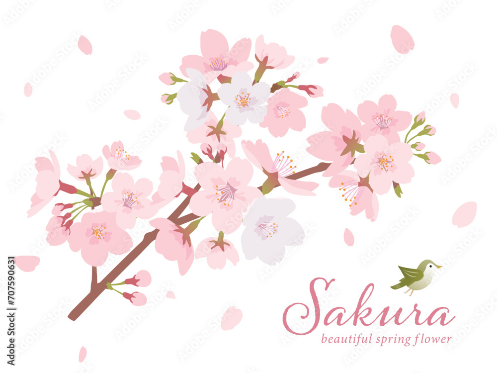桜の木　イラスト素材