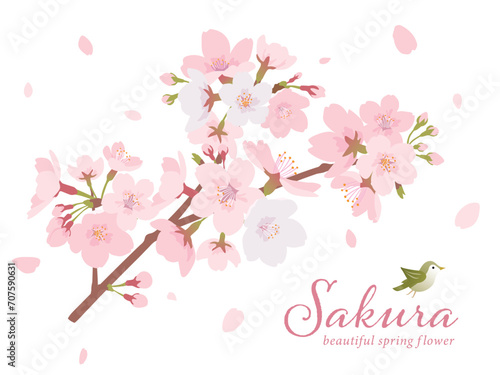 桜の木 イラスト素材