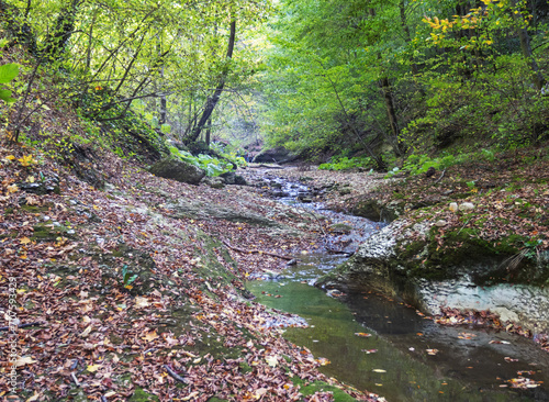 the beginning of a mountain river , a slow flow in a shallow riverbed