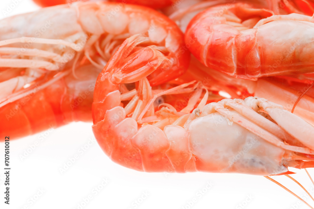 Shrimp on a white background Shrimp on a white background