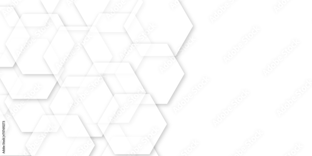 Abstract white background with hexagons and seamless pattern in vector design . luxury white pattern geometric mesh cell texture . Abstract white background with hexagons and seamless pattern in vector design . luxury white pattern geometric mesh cell texture .