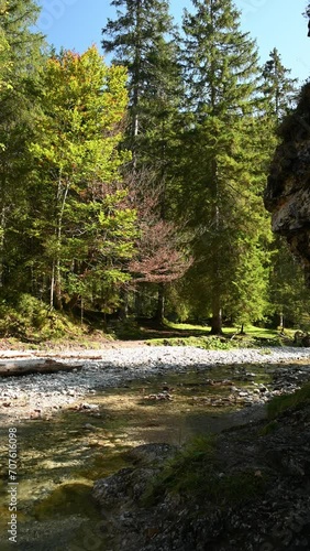 Vertical view of a forest with a mountain stream in autumn