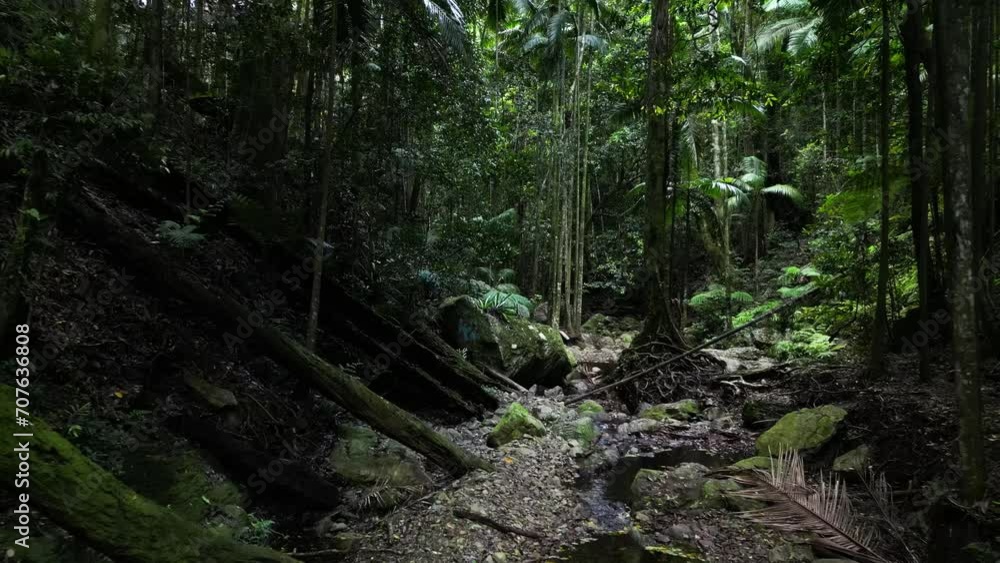 A moss covered pristine jungle stream hidden deep in a tropical rainforest mountain range. Slow drone reveal A moss covered pristine jungle stream hidden deep in a tropical rainforest mountain range. Slow drone reveal