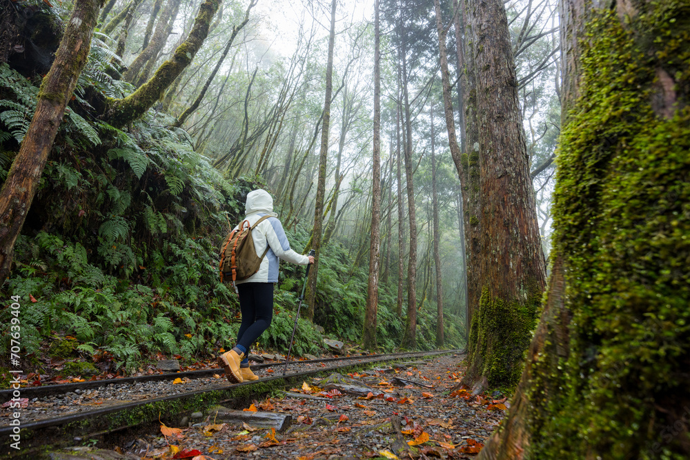Woman go hiking in foggy mist forest
