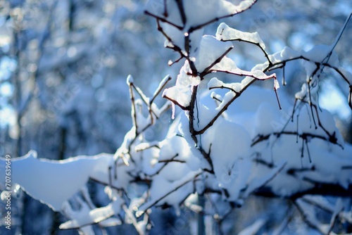 Winterzeit im Garten