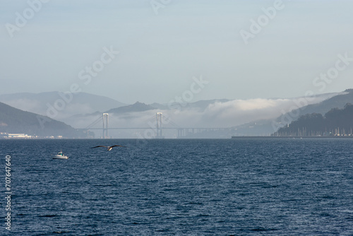 Vigo has an impressive estuary and the Rande bridge crosses it 