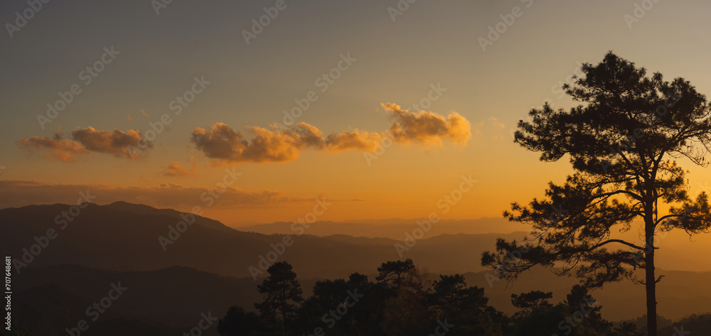 travel and people activity concept with large pine with layer of mountain and cloudy sky background travel and people activity concept with large pine with layer of mountain and cloudy sky background