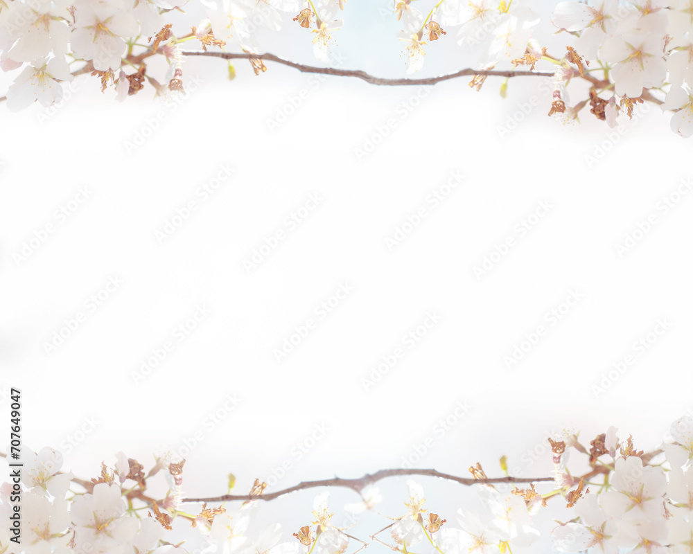 Flower and light; background or texture; spring concept Flower and light; background or texture; spring concept