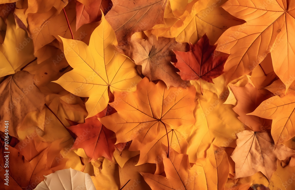 Autumn background of yellow and red maple leaves on the ground Autumn background of yellow and red maple leaves on the ground
