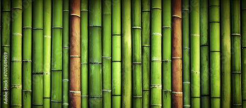 Natural green bamboo background.