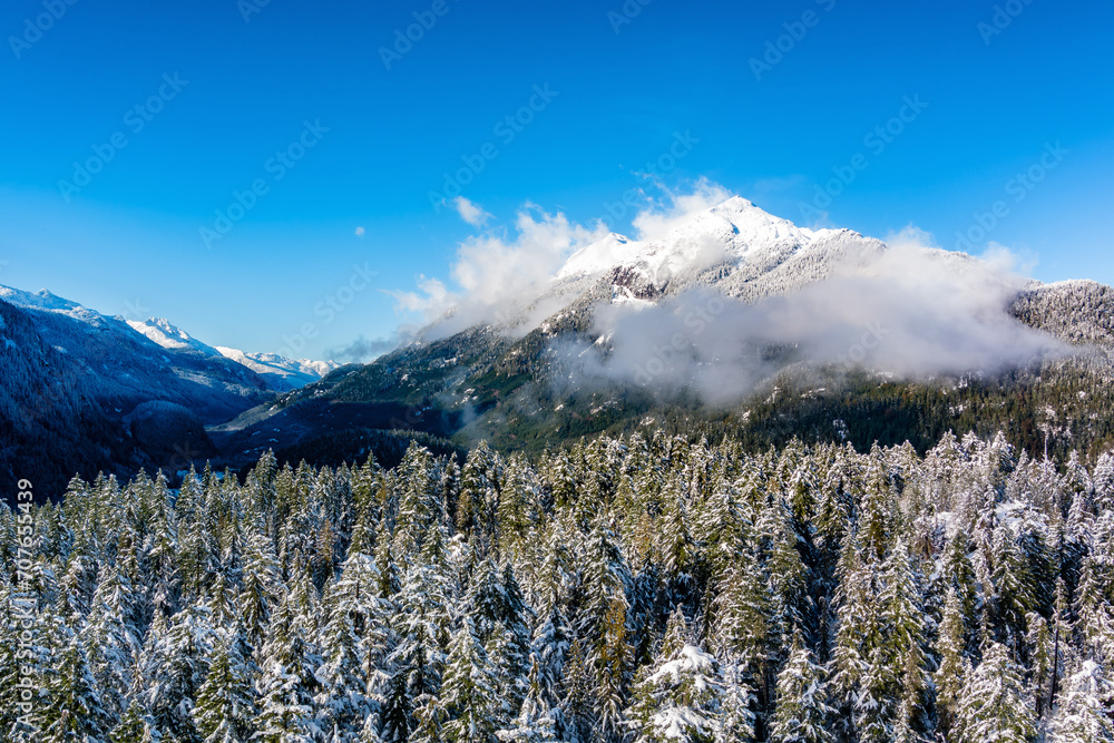 Snow Covered Evergreen Trees with Mountain Landscape in Background. Snow Covered Evergreen Trees with Mountain Landscape in Background.