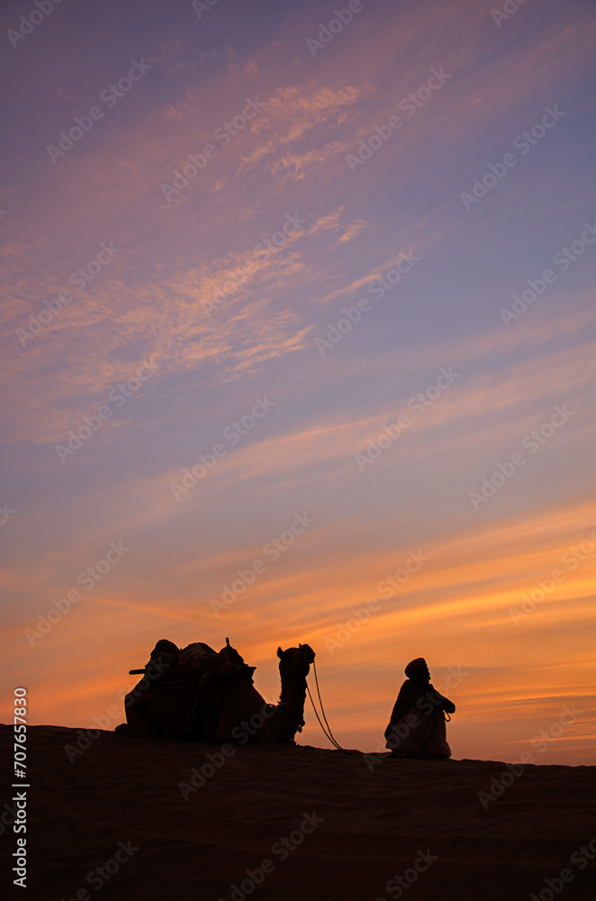 Camel man and camel during sunset with colorful sky at Jaisalmer sand dunes, Rajasthan, India, Asia. Background. Backdrop. Wallpaper.