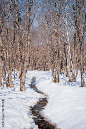 冬の釧路湿原 © ANSHIN