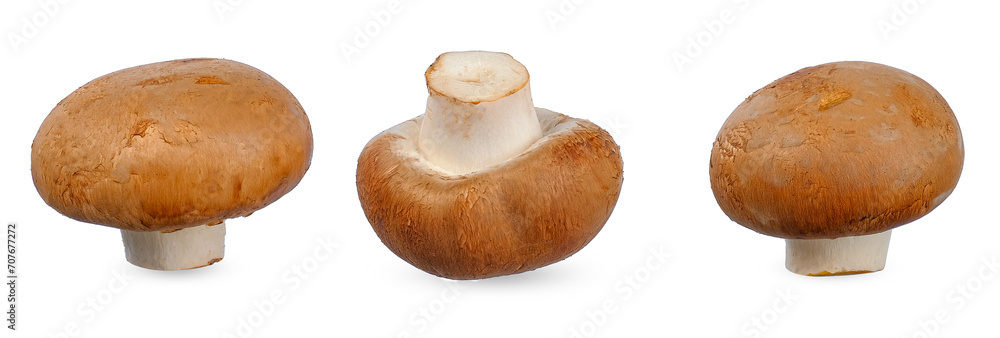 Fotografie Champignon mushroom isolated on white background