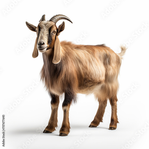 "Graceful Goat on White Background: Hyper-Realistic Illustration"