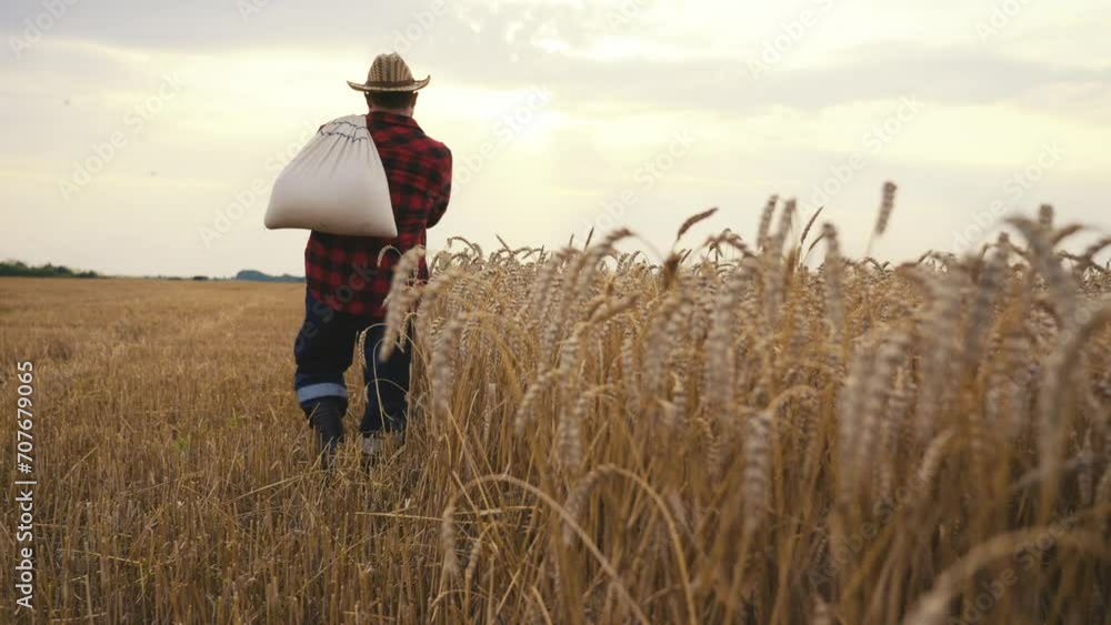 Man farmer carrying wheat bag on field. Farm worker in straw hat holding grain bag, back view. Harvesting, farming, food production, agribusiness concept. Golden wheat crop on farmland in countryside. Man farmer carrying wheat bag on field. Farm worker in straw hat holding grain bag, back view. Harvesting, farming, food production, agribusiness concept. Golden wheat crop on farmland in countryside.
