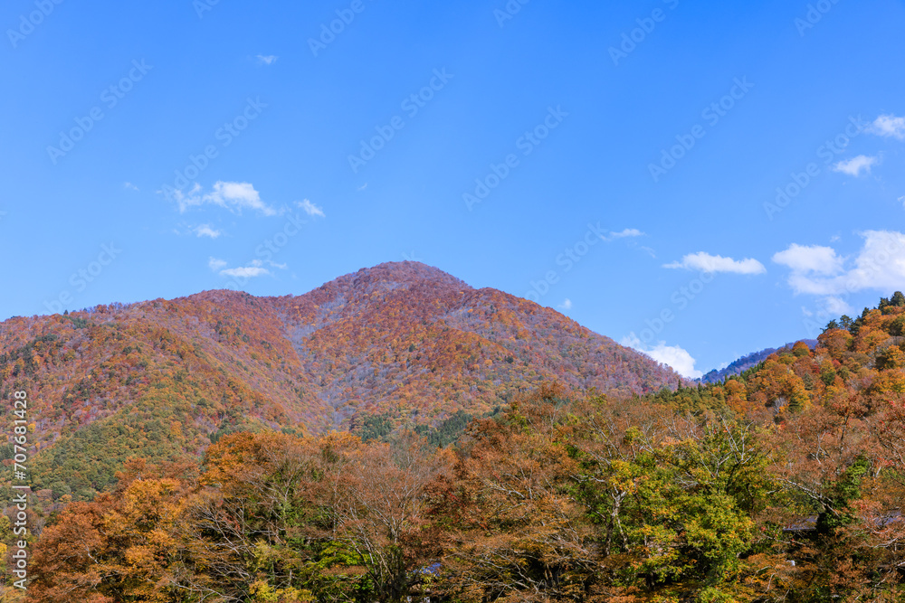 秋色に染まる世界遺産白川郷 岐阜県白川村 秋色に染まる世界遺産白川郷 岐阜県白川村