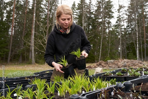 gardener tending plants