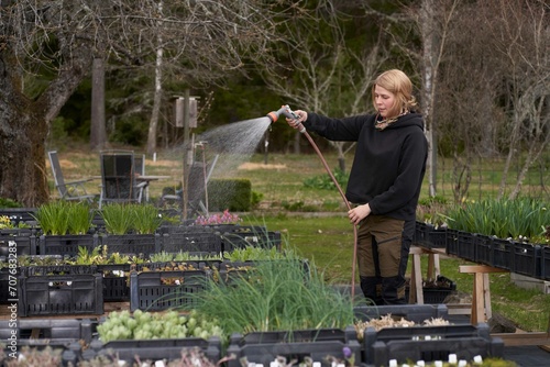 person watering plants